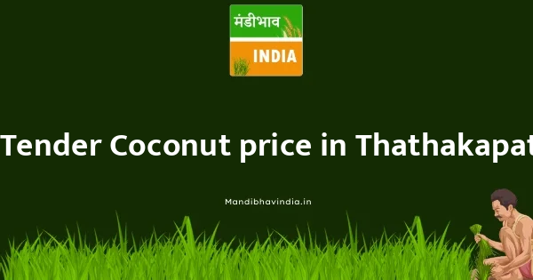 Tender Coconut price